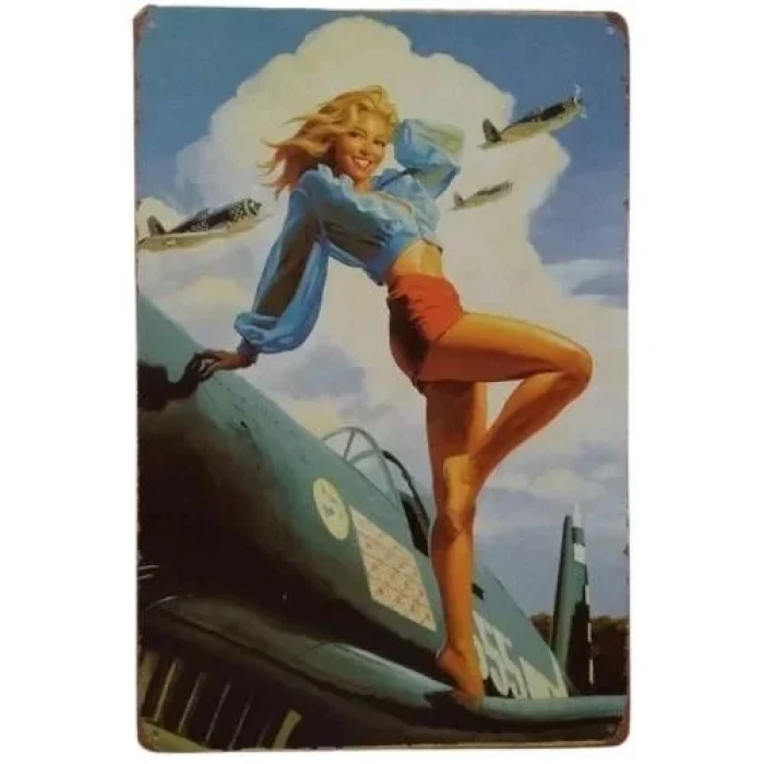 Μεταλλική Ταμπέλα Vintage Girl on the Plane 30051608