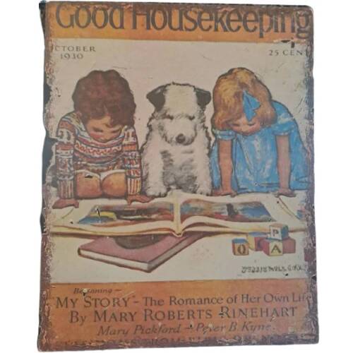 Μεταλλική Ταμπέλα Vintage Good Housekeeping 121231